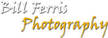 Bill Ferris Photography