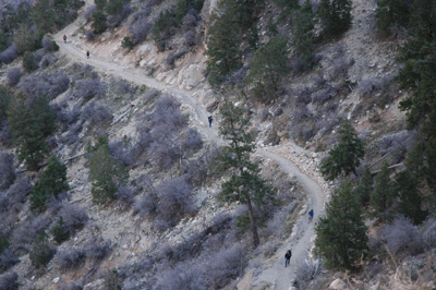 Hikers ascending Bright Angel