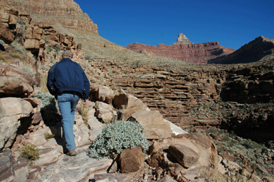 Ascending Sumner Wash with Zoroaster in the distance