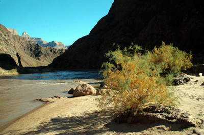 The view from Garden Creek beach