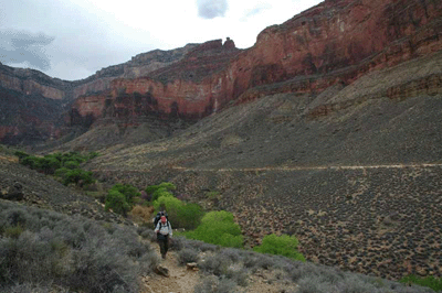 Dennis hiking east on Tonto Trail