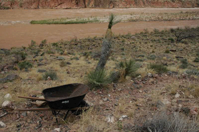 Wheel Barrow by Colorado