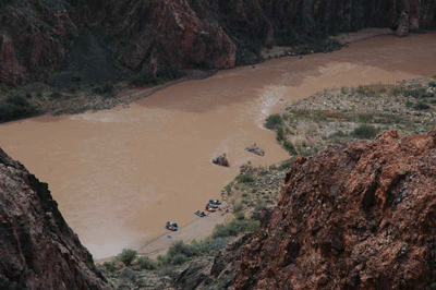 River Runners at Bright Angel beach