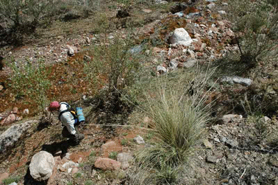 Following the creek to Butchart's cave