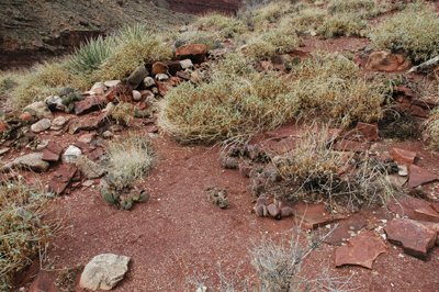 Looking across the ruins