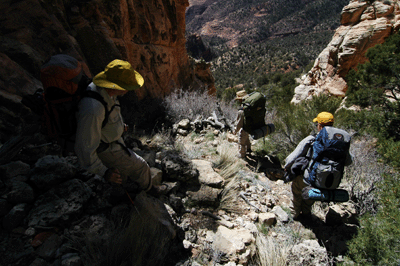 On the Coconino descent route in Crazy Jug Canyon