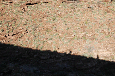 Hikers in silhouette