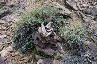 Cairn marking the descent route to Crystal Rapids