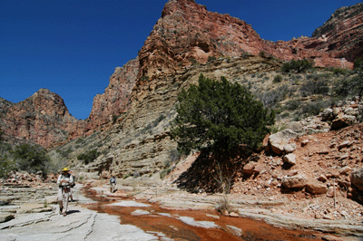 Hiking alongside water in White Canyon
