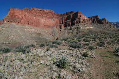Looking east toward Holy Grail Temple