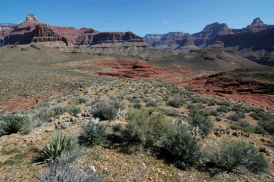 Approaching Utah Flats
