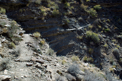 A weak seep darkens the Tonto in Grapevine Canyon