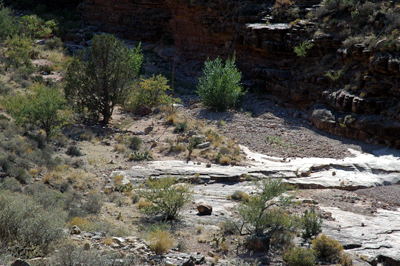 Arriving at the treed camping area in Grapevine Creek