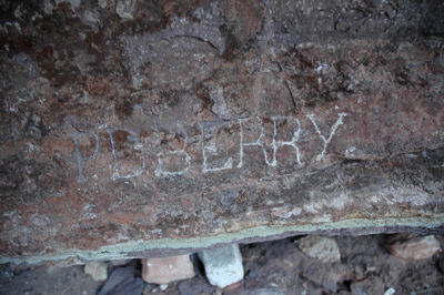 Names in the west arm of Grapevine Creek: P.D. Berry