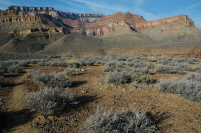 A view west toward Newton Butte