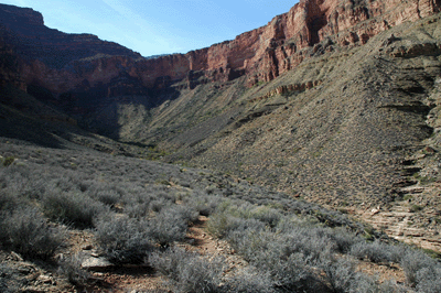 Entering Lonetree Canyon