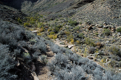 Arriving at Lonetree Creek