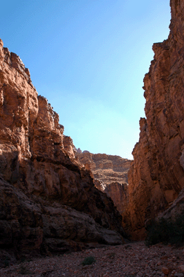 Entering Seventyfive Mile Creek Canyon