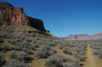 The Tonto trail reaches westward below Yavapai Point