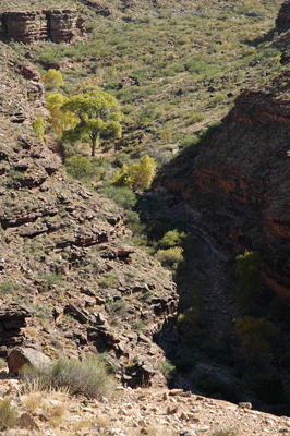 Approaching the campsite at Hance Creek