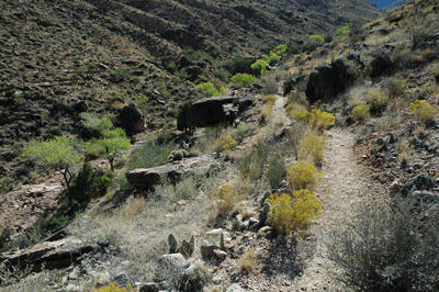 Leaving the treed, shady oasis of Cottonwood Creek