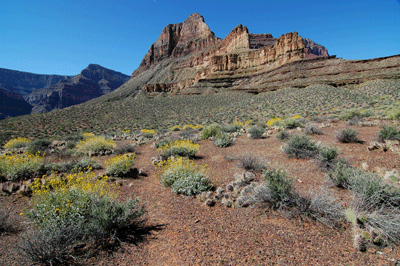 Following the Tonto along its path towards Boucher Canyon below Marsh Butte