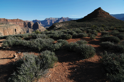 Looking northeast towards Whites Butte from the top of the Redwall