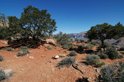 A fine campsite in the Supai below Yuma Point