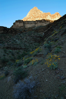 The Tonto enters an unnamed drainage on Le Conte Plateau