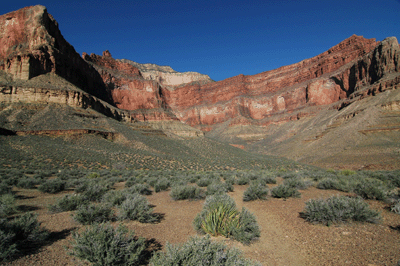 An early morning view through Jasper Canyon from Shaler Plateau