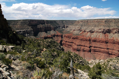 Looking west across Hermit Canyon towards Dripping Springs