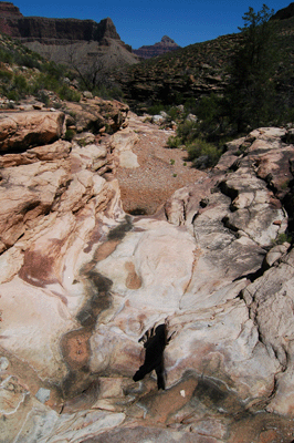 Looking downstream from the trailcrossing in Sapphire