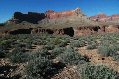 A view across the river towards Scorpion Ridge