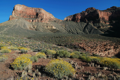 Looking southeast towards Geikie Peak