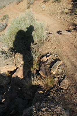 Self portrait in shadow