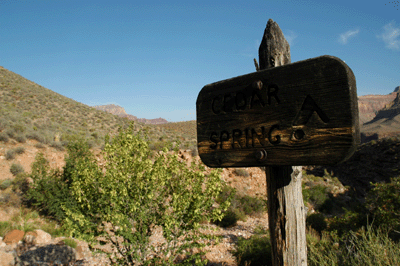 Cedar Spring sign