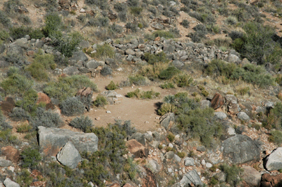 Shadeless Cedar Spring campsite