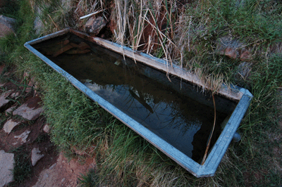 Water Trough at Santa Maria Spring