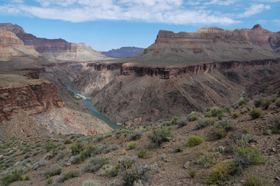 Looking across the Colorado toward Tower of Ra