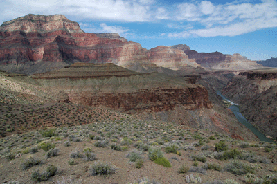 A view west toward the ridge below Yuma Point