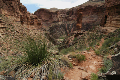 Approaching the Hoo Doo in Monument Creek