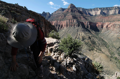 Keeping an eye on the trail at all times