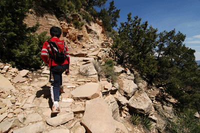 Entering the Coconino layer