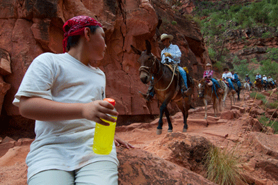 Resting along side Bright Angel trail while waiting for a mule trail to pass