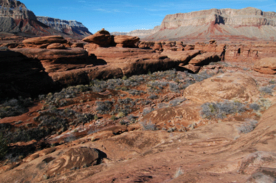 The Esplanade below Jumpup Point