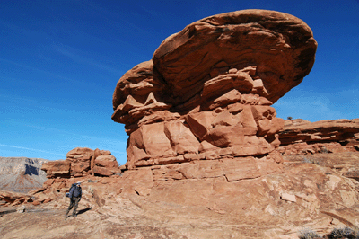 Mushroom-shaped formations on the Esplanade