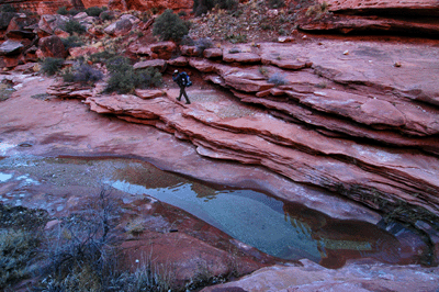 Hiking through lower Jumpup