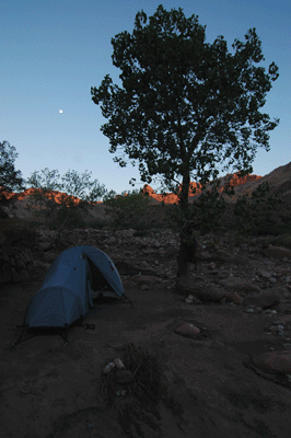 Campsite in Nankoweap Creek