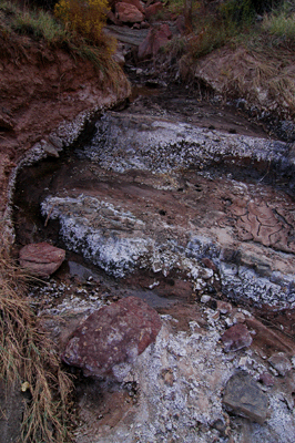 Seep where I accessed route to Nankoweap Butte saddle