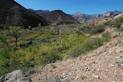 Leaving Nankoweap Creek